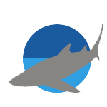 Grey Shark Grey Shark